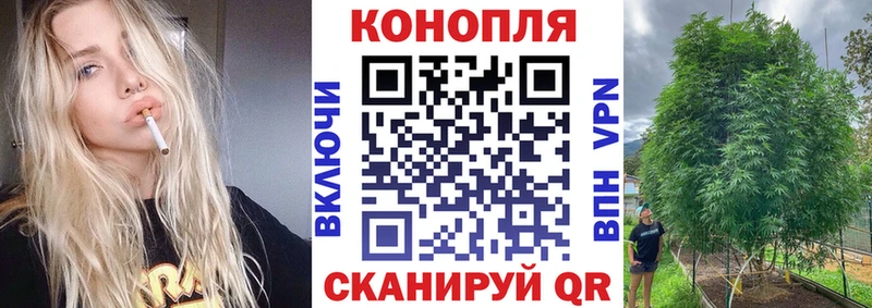 Марихуана сатива  Купить  Учалы 